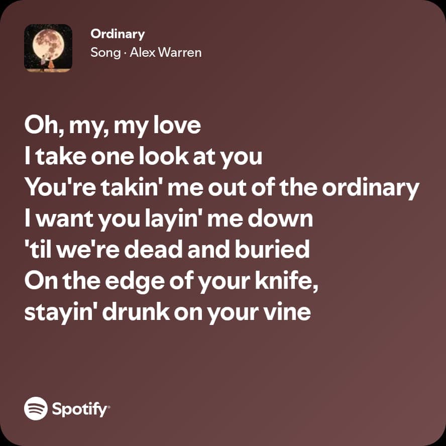 Spotify lyric screenshot selected for the birthday playlist, card 6