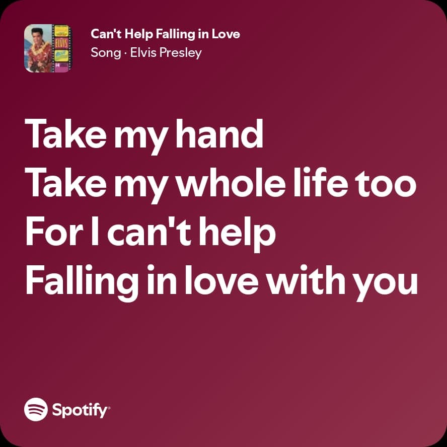 Spotify lyric screenshot selected for the birthday playlist, card 10